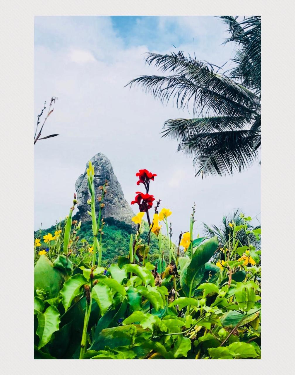 Pousada Morro Do Pico Fernando de Noronha Ngoại thất bức ảnh